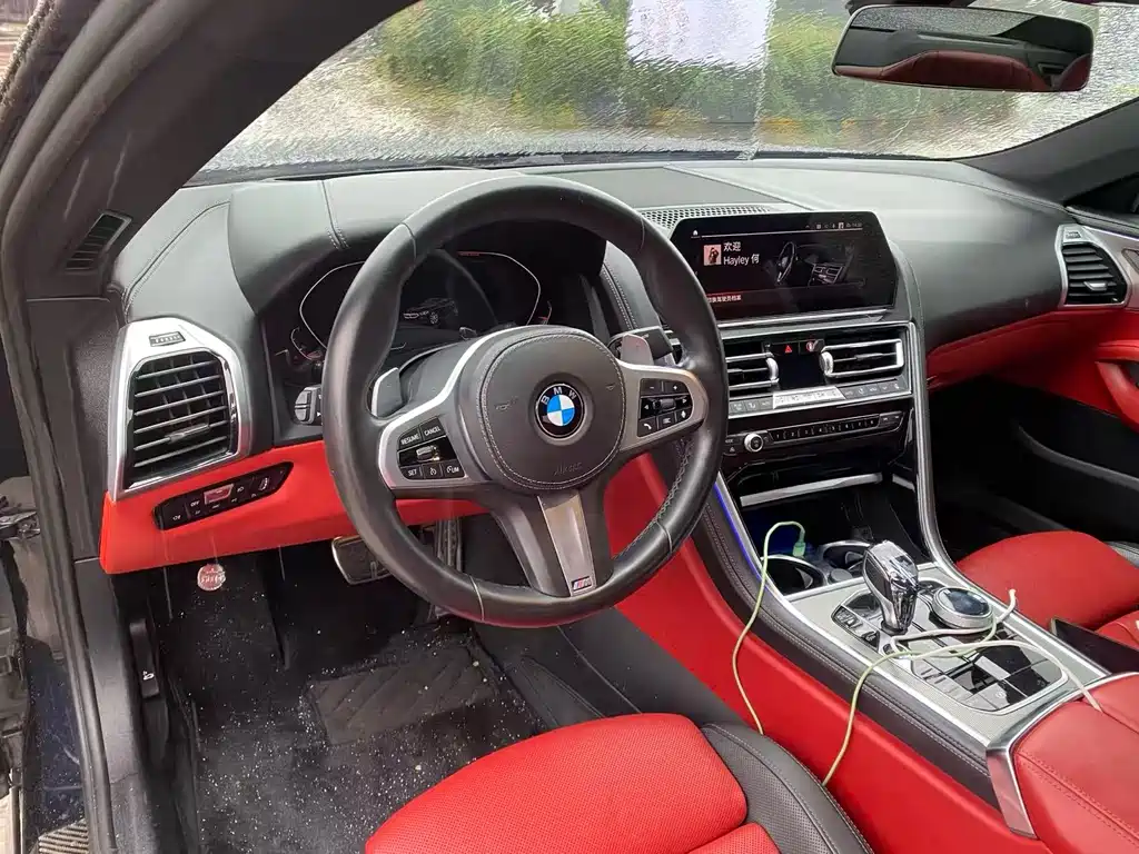 BMW 8 Series — миниатюра 6