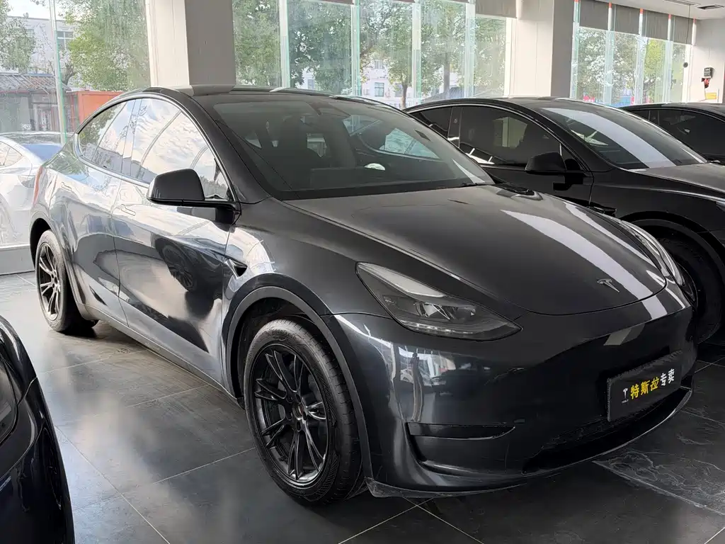 Tesla Model Y — миниатюра 3