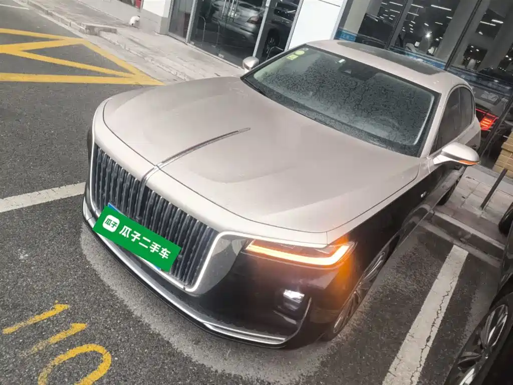 Hongqi Hongqi H9 2021