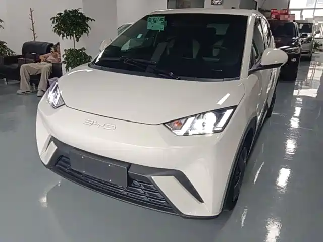 2024 BYD Seagull
