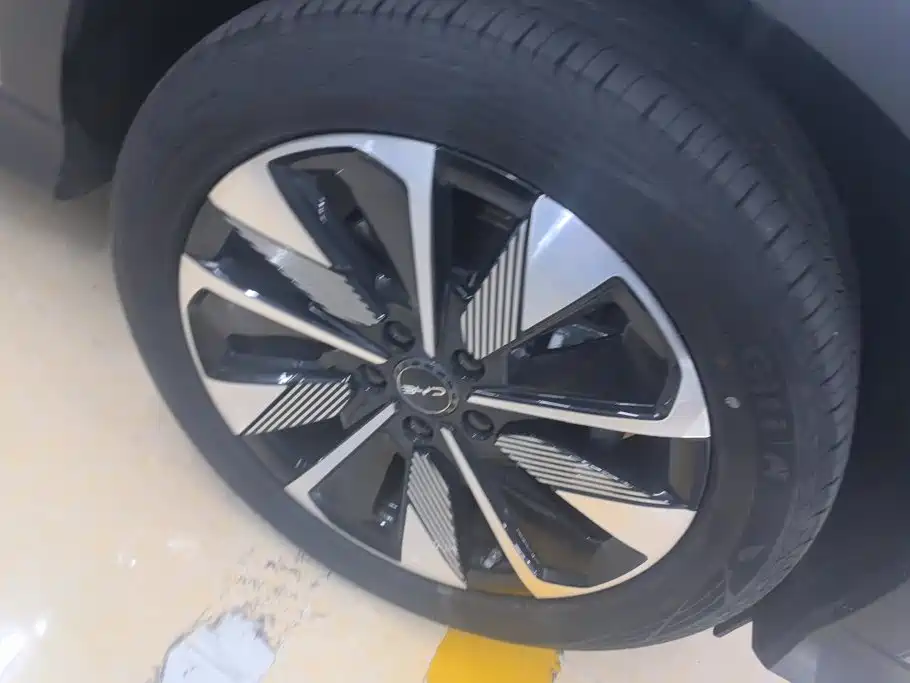 BYD PLUS New Energy — миниатюра 6