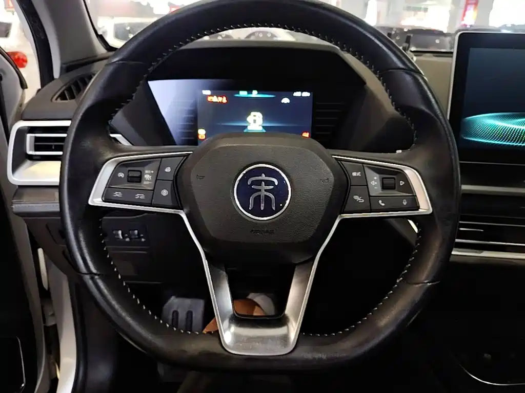 BYD Pro — миниатюра 11