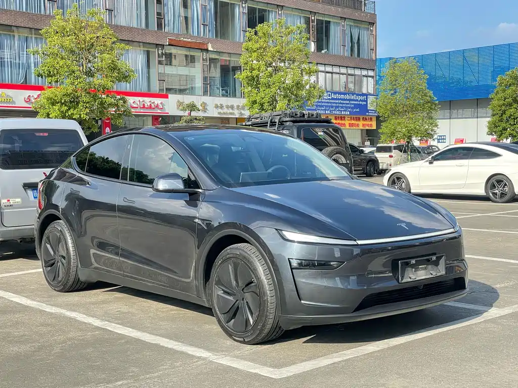 Tesla Model Y — миниатюра 3