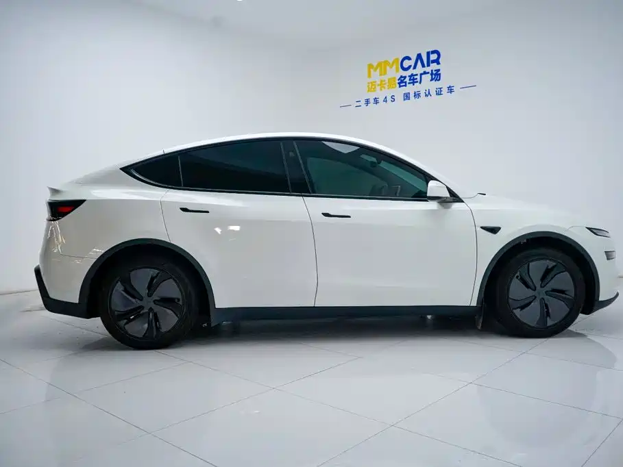 Tesla Model Y — миниатюра 11
