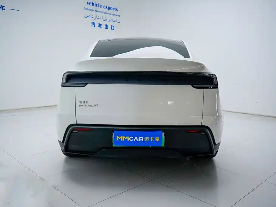 Tesla Model Y — миниатюра 13