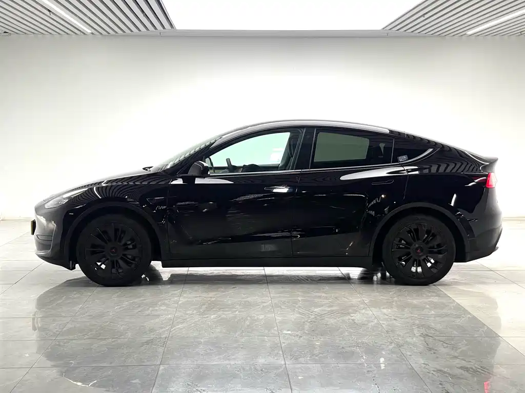 Tesla Model Y — миниатюра 7