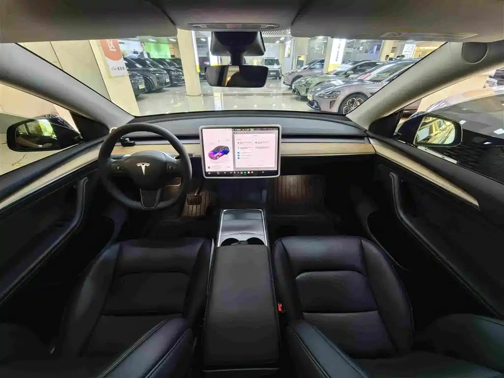 Tesla Model Y — миниатюра 5
