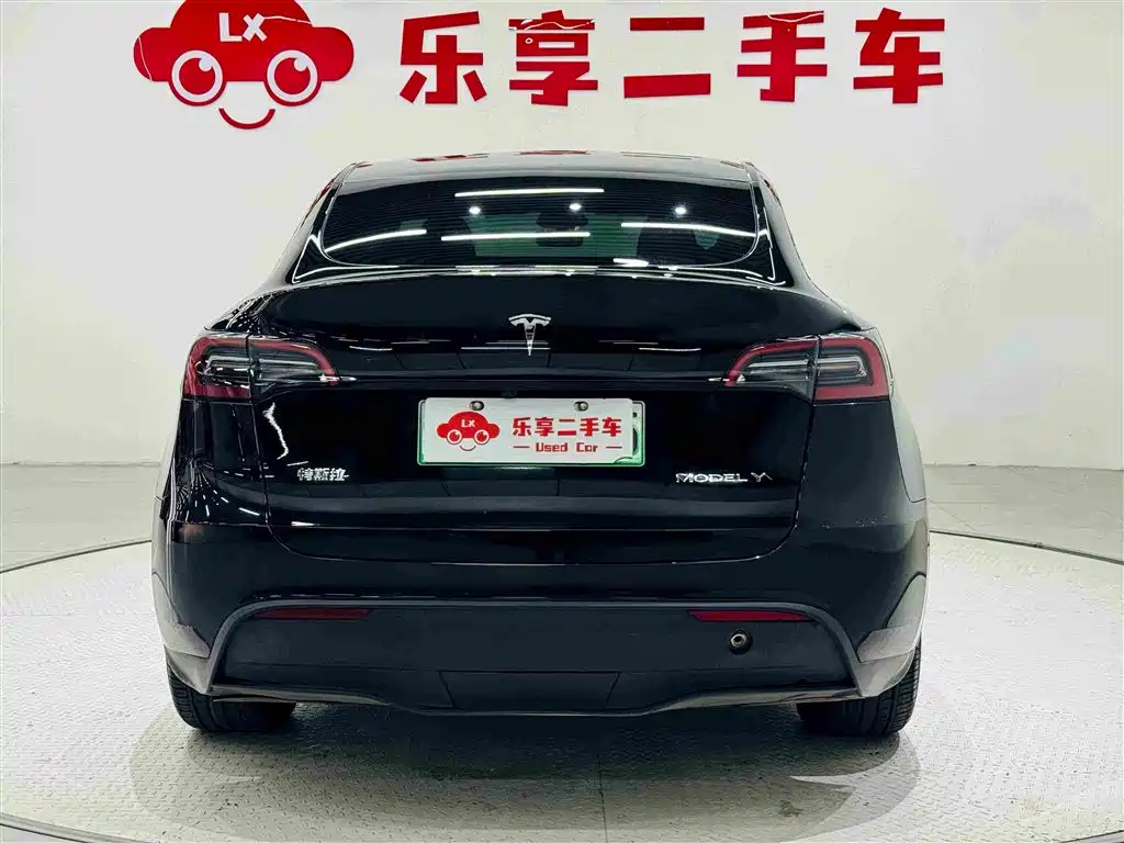 Tesla Model Y — миниатюра 4