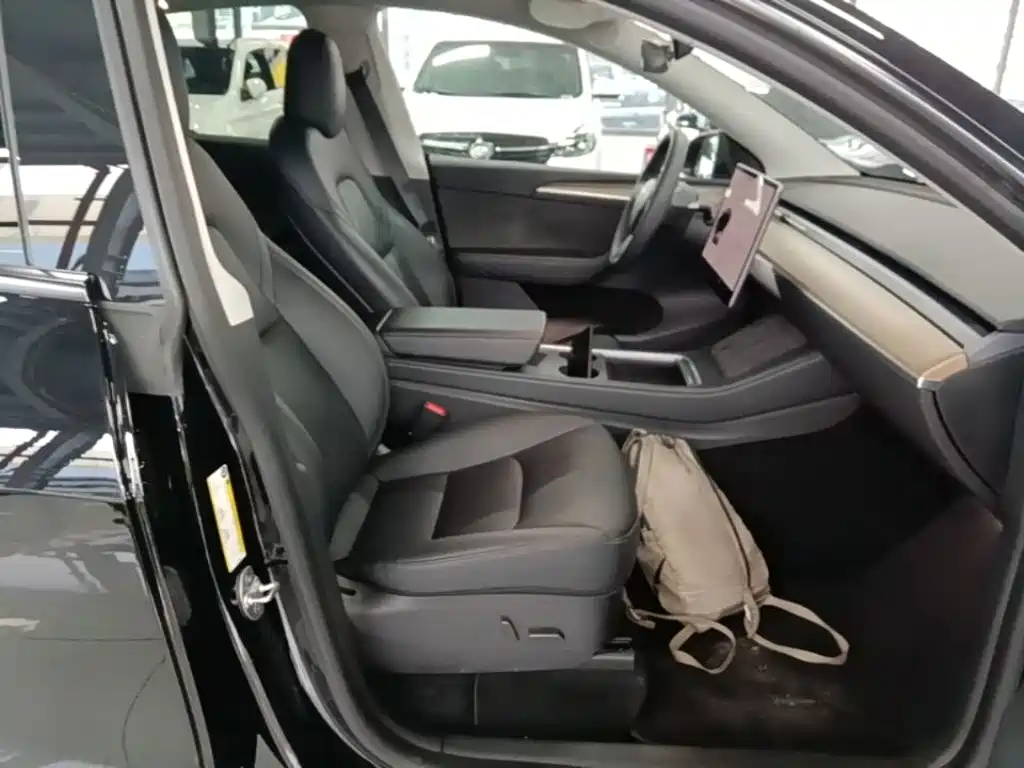 Tesla Model Y — миниатюра 25
