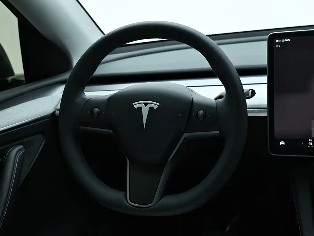 Tesla Model Y — миниатюра 16