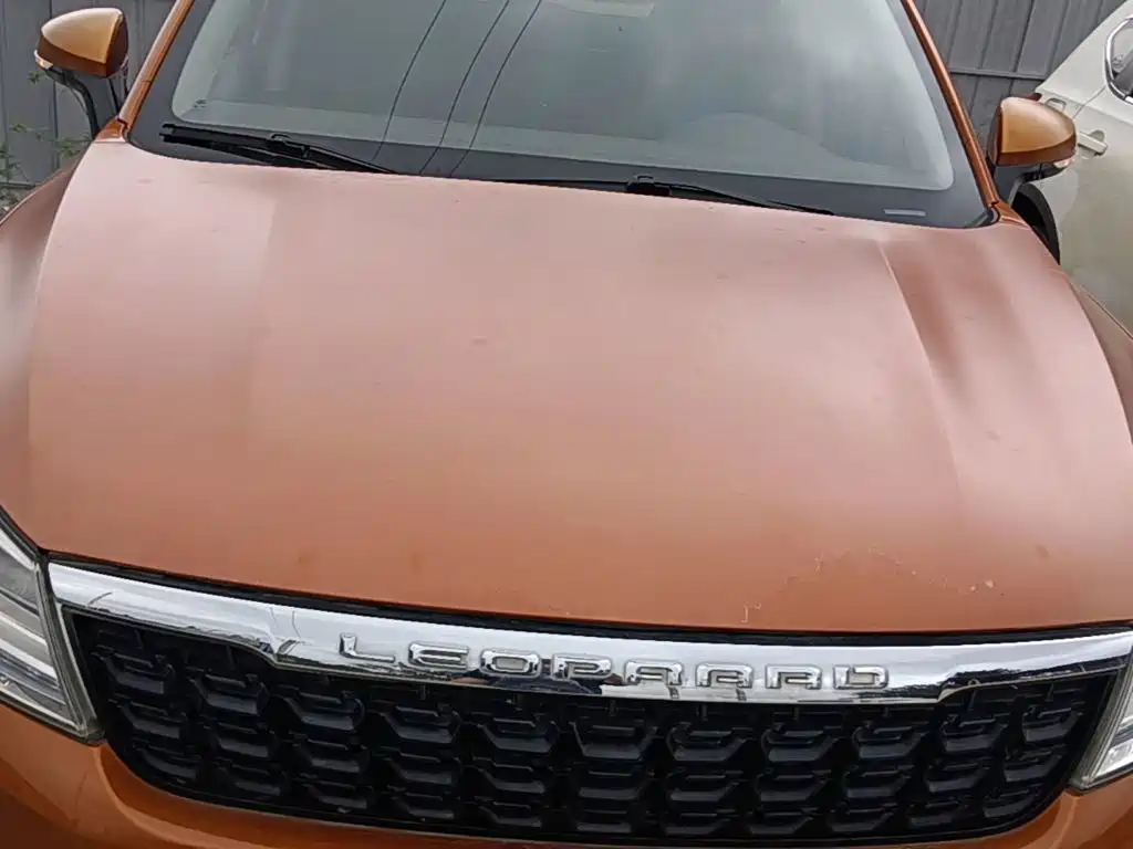Leopaard Leopaard CS9 — миниатюра 20