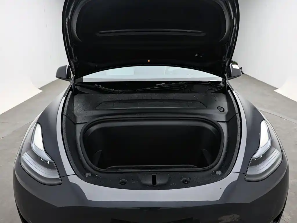 Tesla Model Y — миниатюра 17