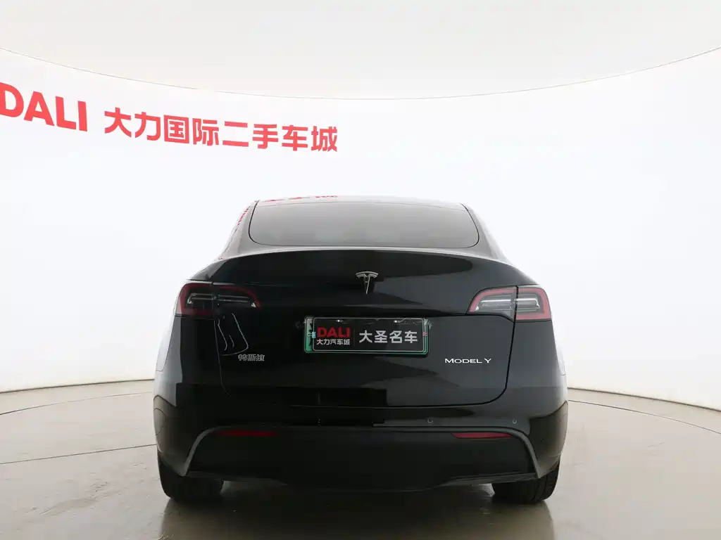 Tesla Model Y — миниатюра 14