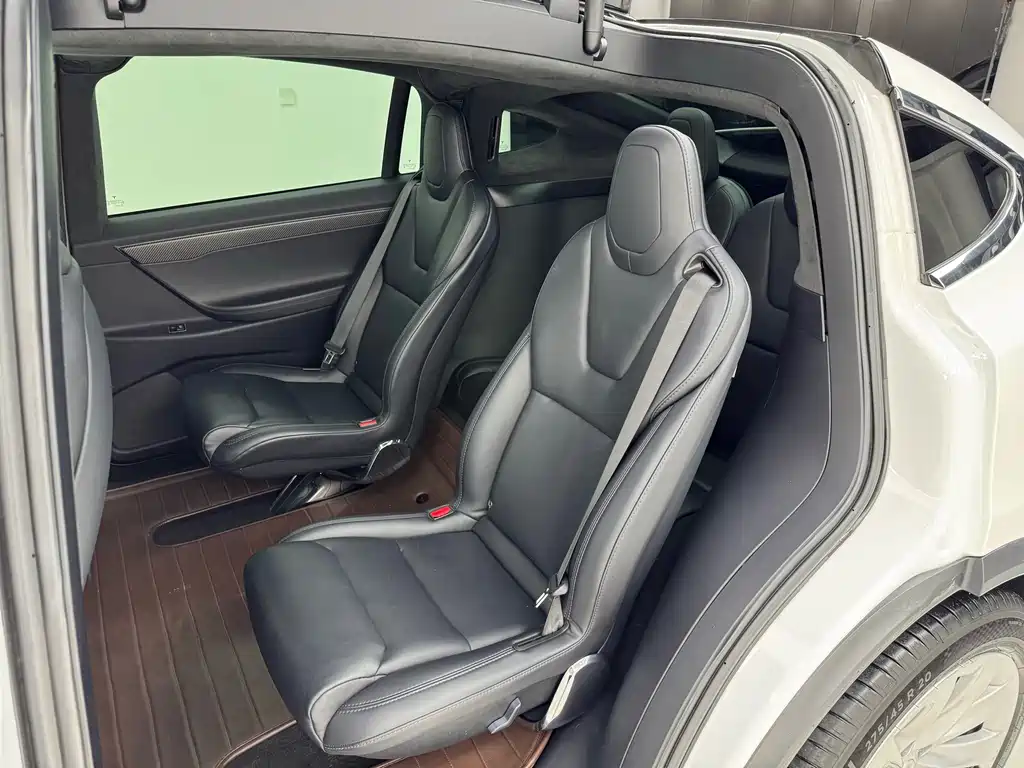 Tesla Model X — миниатюра 19