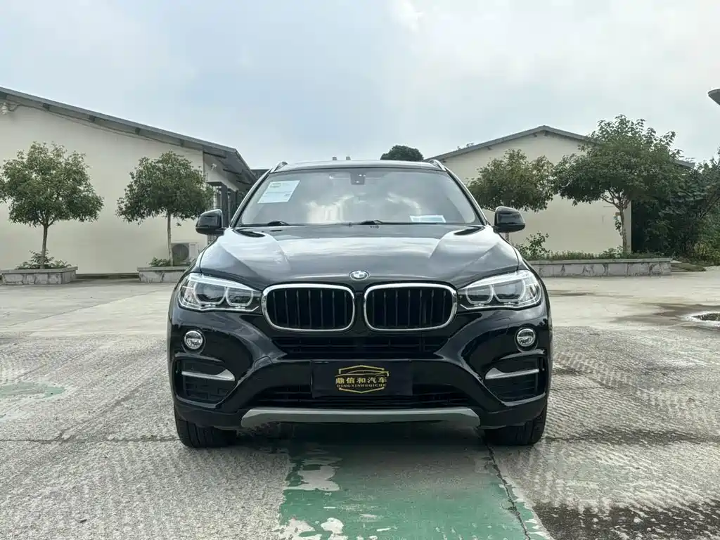 BMW X6 — миниатюра 2