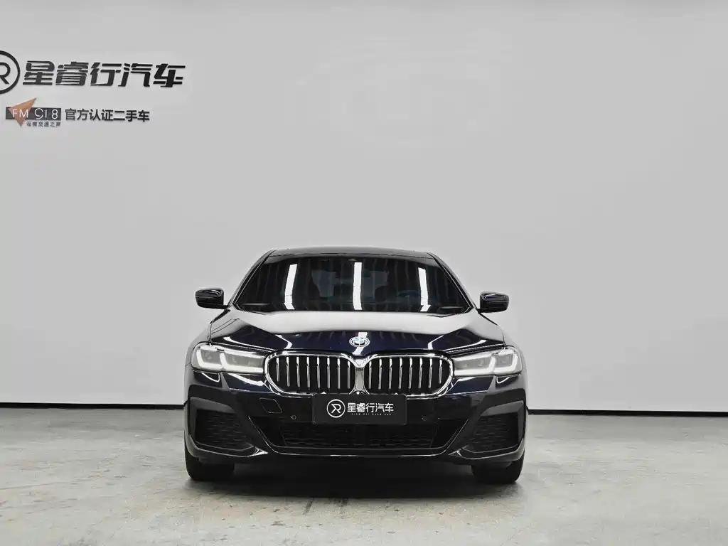 BMW 5 Series — миниатюра 28