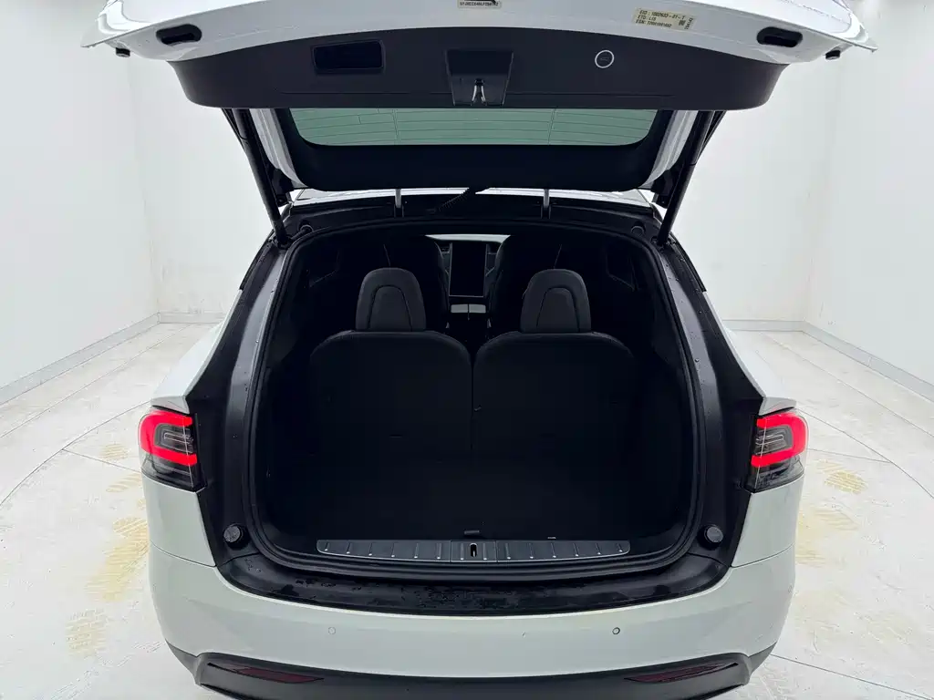 Tesla Model X — миниатюра 24