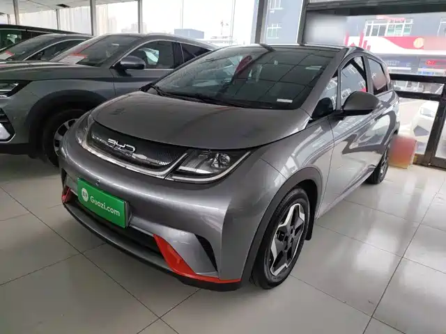 2022 BYD Dolphin