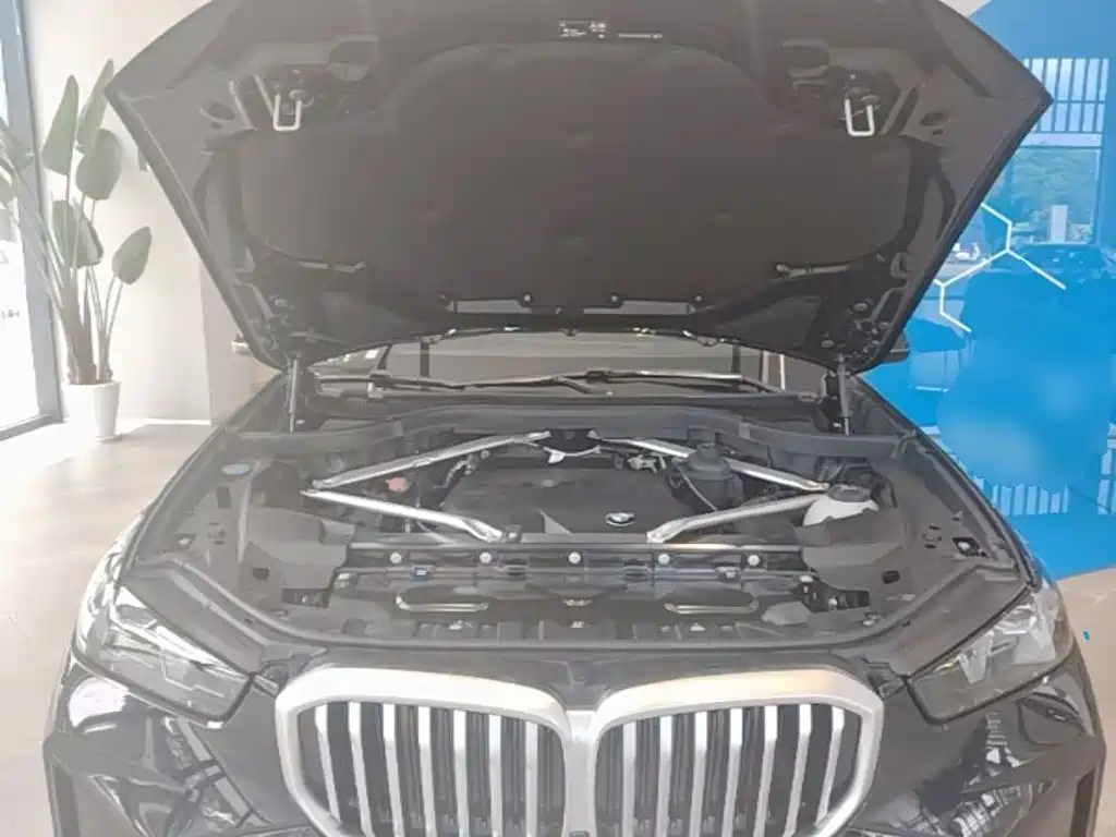 BMW X5 — миниатюра 20