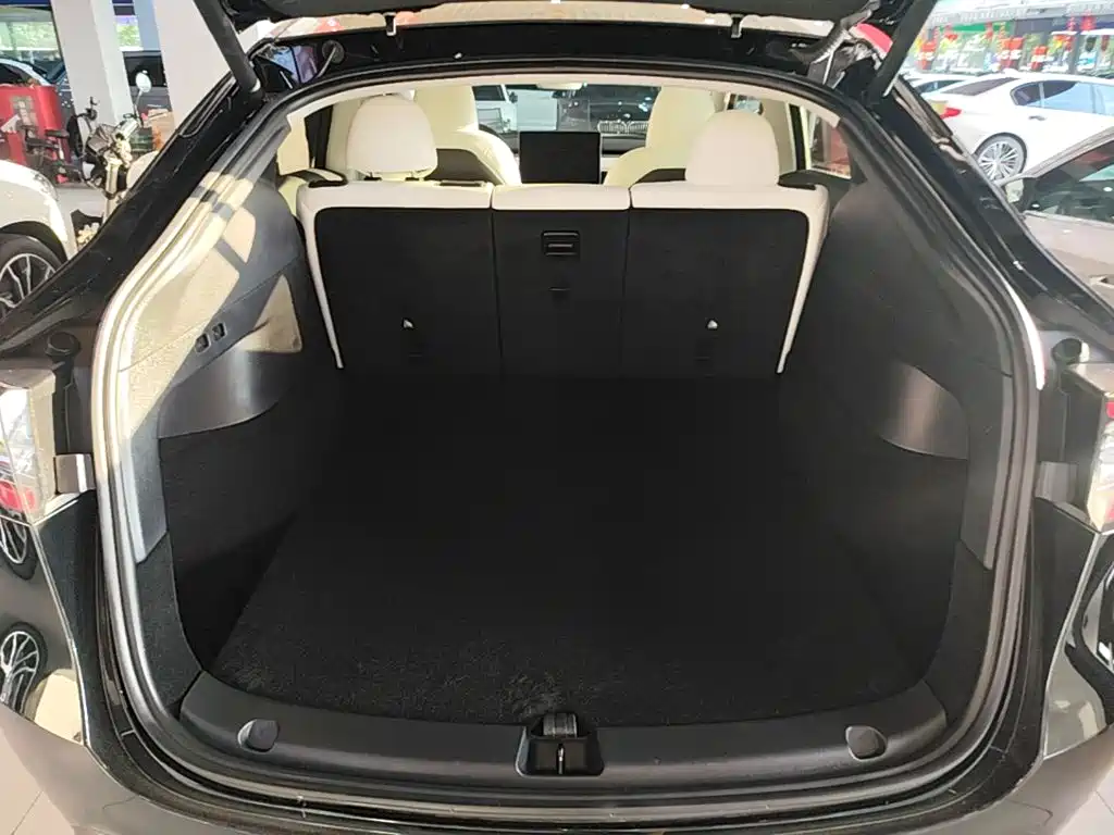 Tesla Model Y — миниатюра 19