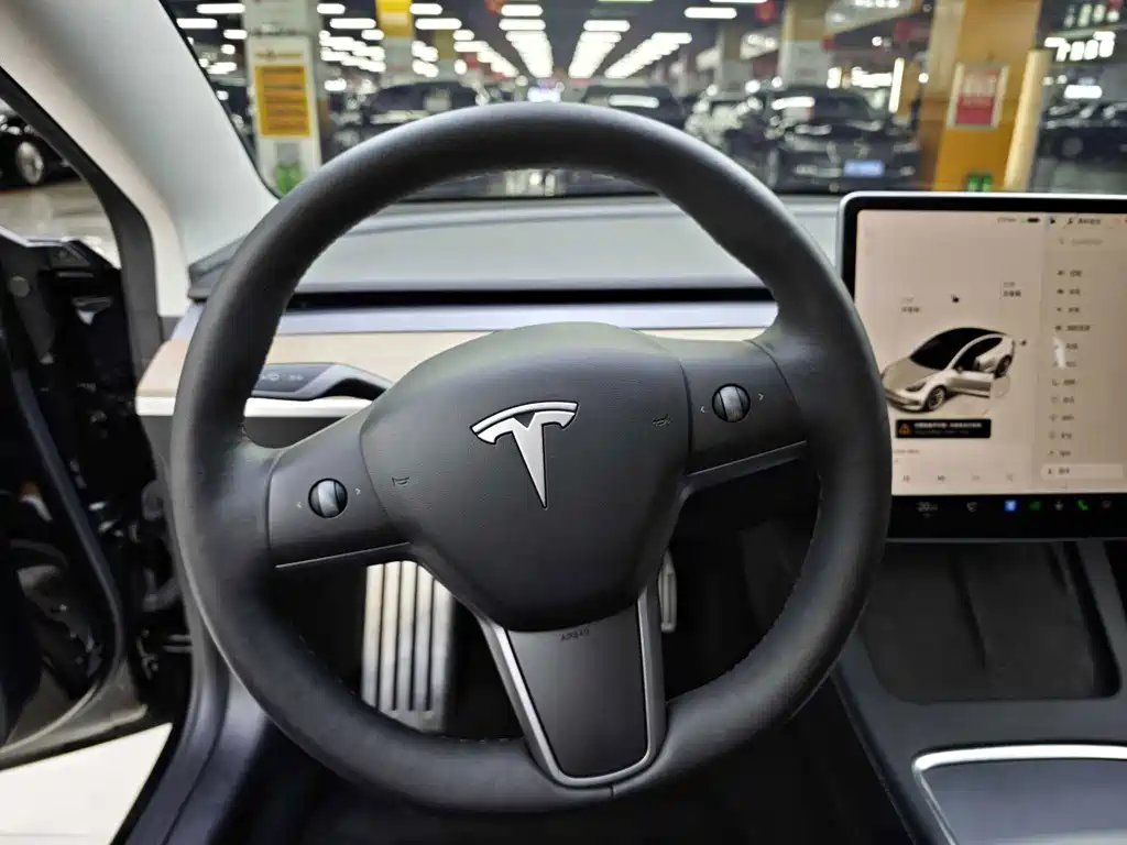 Tesla Model 3 — миниатюра 14