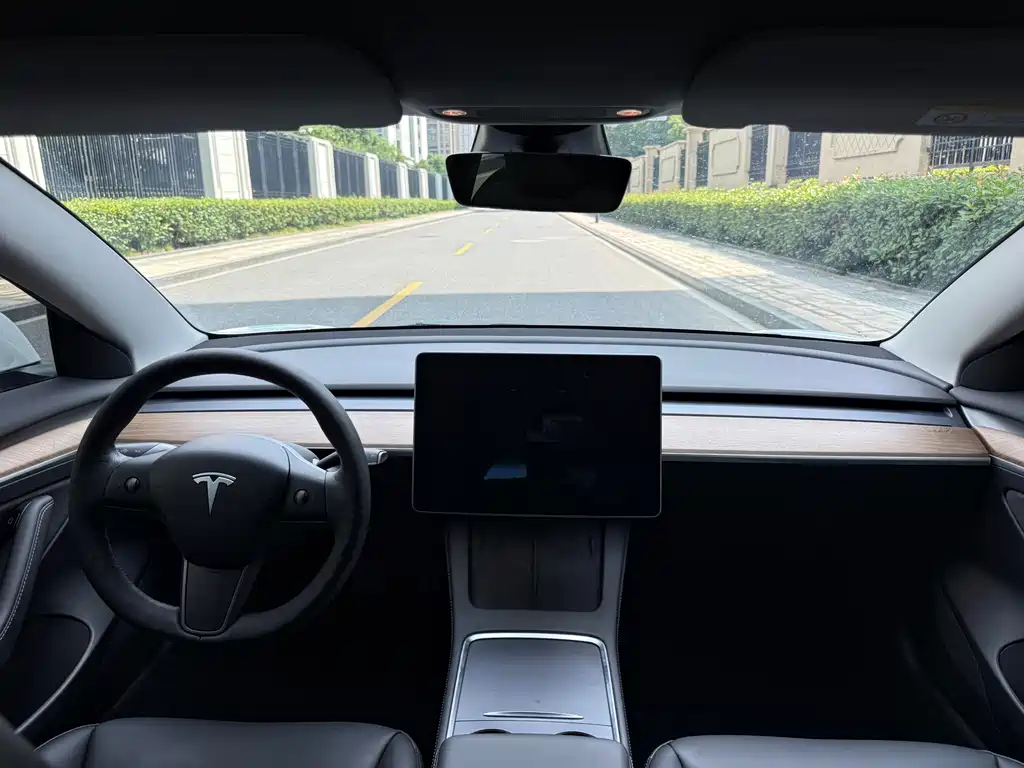 Tesla Model 3 — миниатюра 11