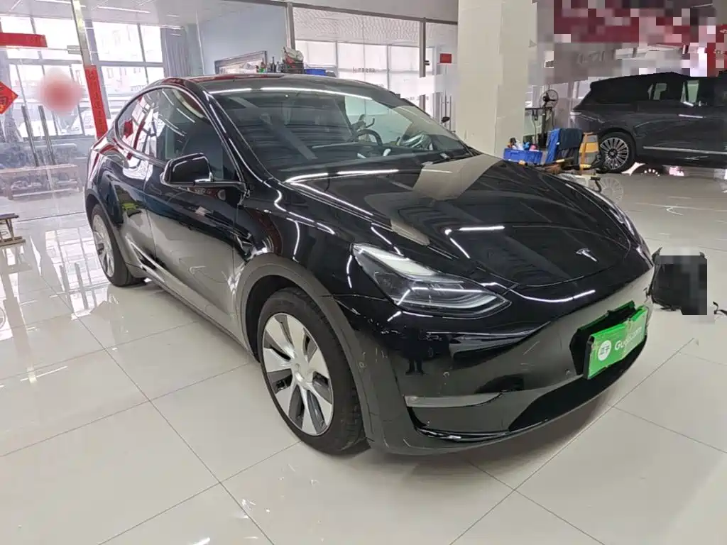 Tesla Model Y — миниатюра 4
