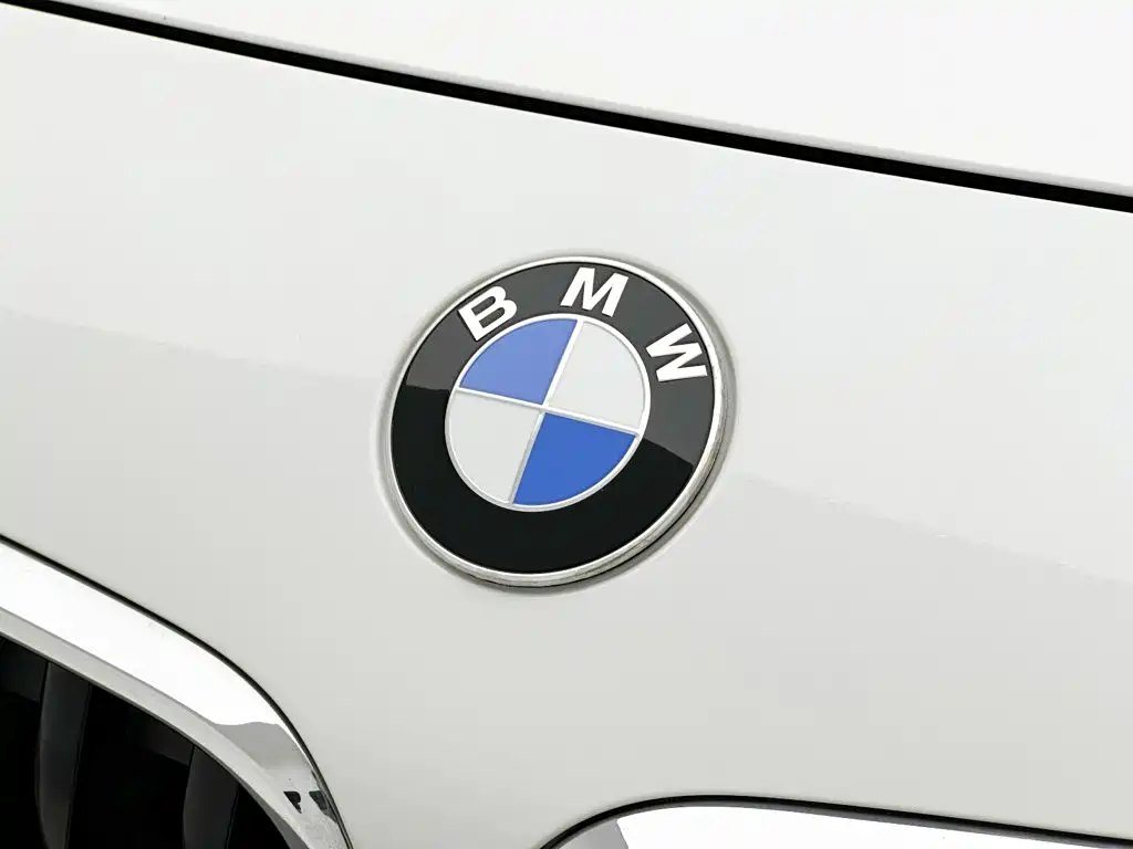 BMW X2 — миниатюра 27