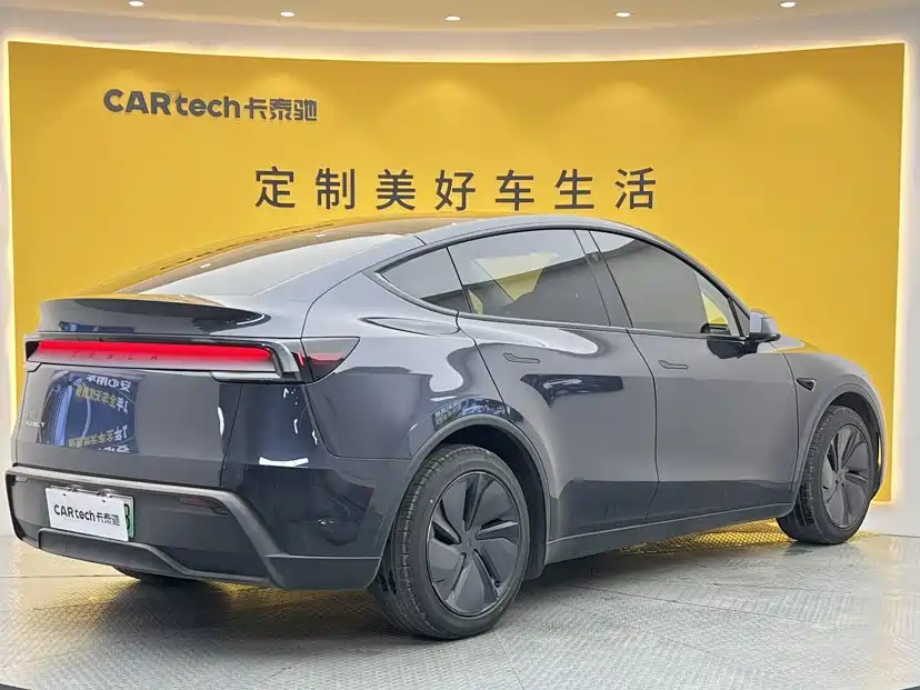 Tesla Model Y — миниатюра 4