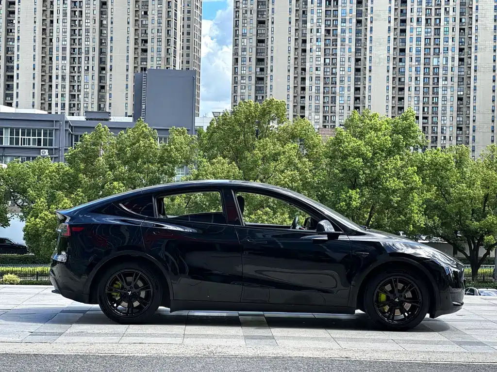 Tesla Model Y — миниатюра 7