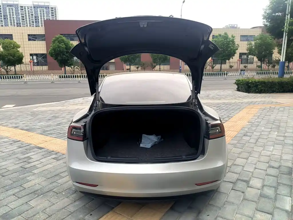 Tesla Model 3 — миниатюра 19