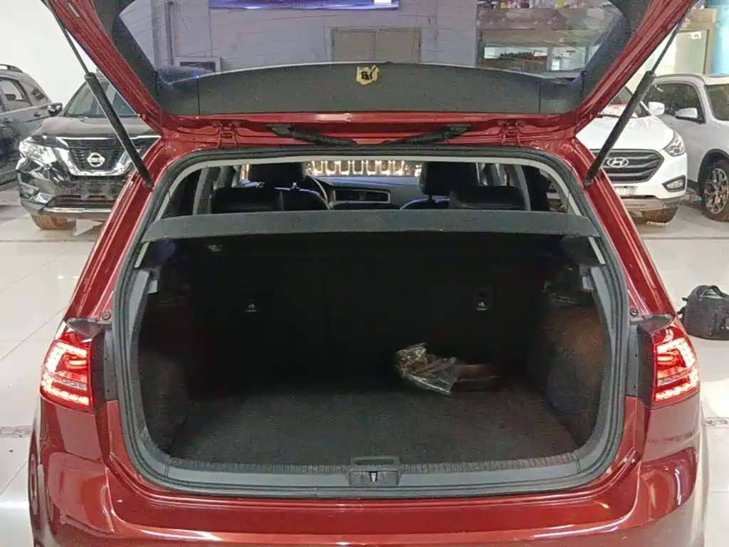 Volkswagen Golf — миниатюра 19