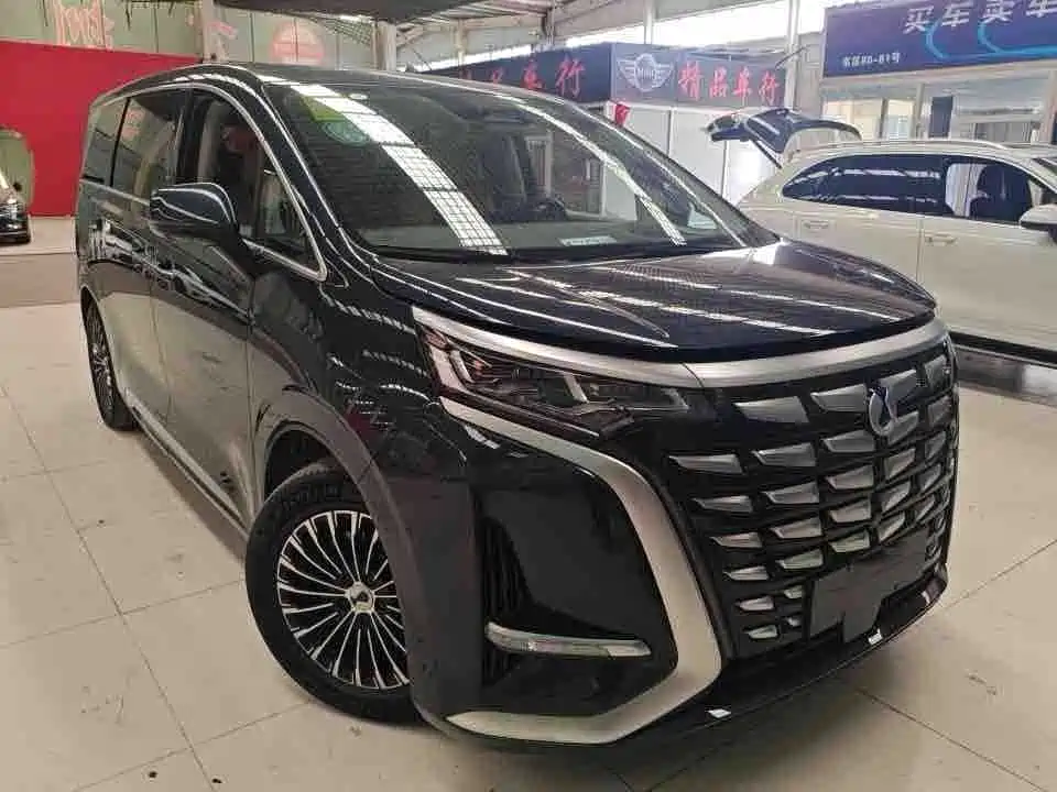 Denza Denza D9 — миниатюра 2