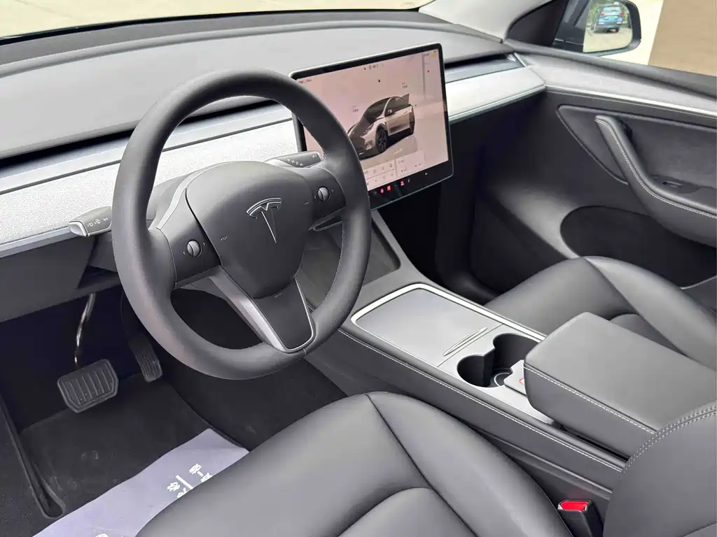 Tesla Model Y — миниатюра 5