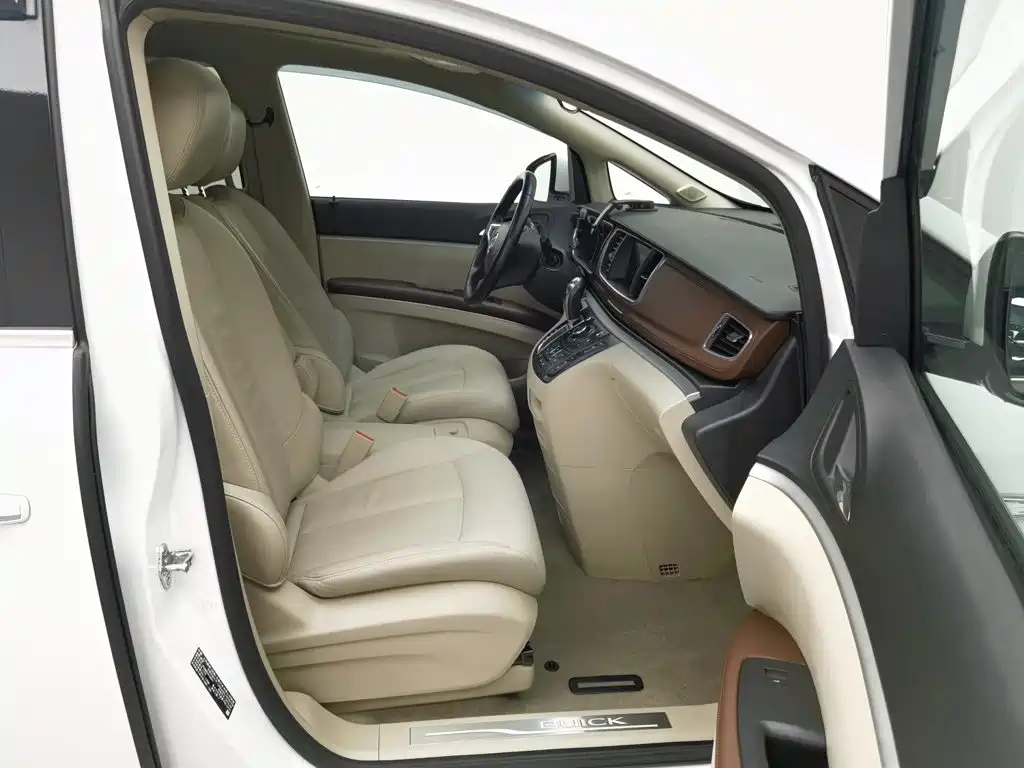 Buick GL8 — миниатюра 23