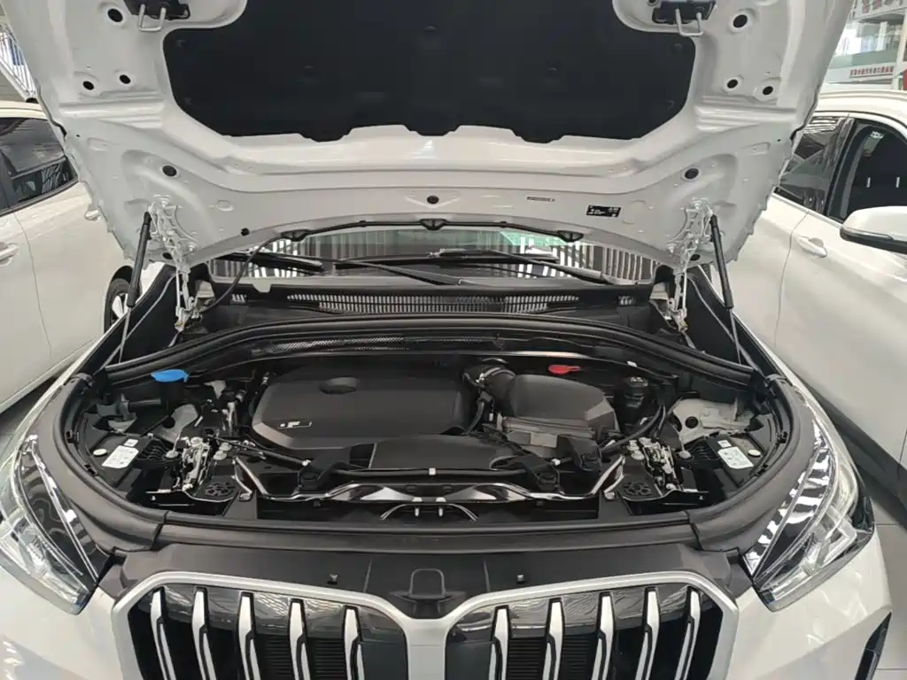 BMW X1 — миниатюра 20