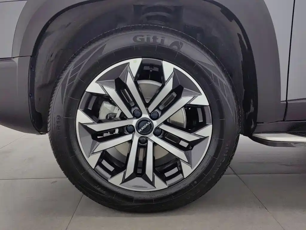 Haval Big Dog — миниатюра 17
