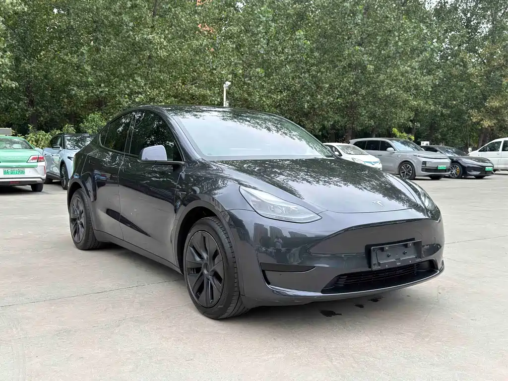 Tesla Model Y — миниатюра 3