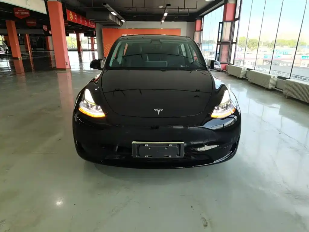 Tesla Model Y — миниатюра 3