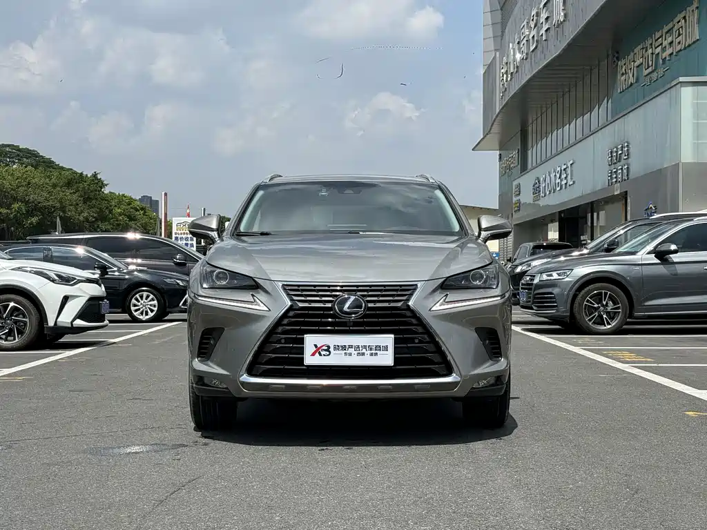 Lexus NX — миниатюра 4