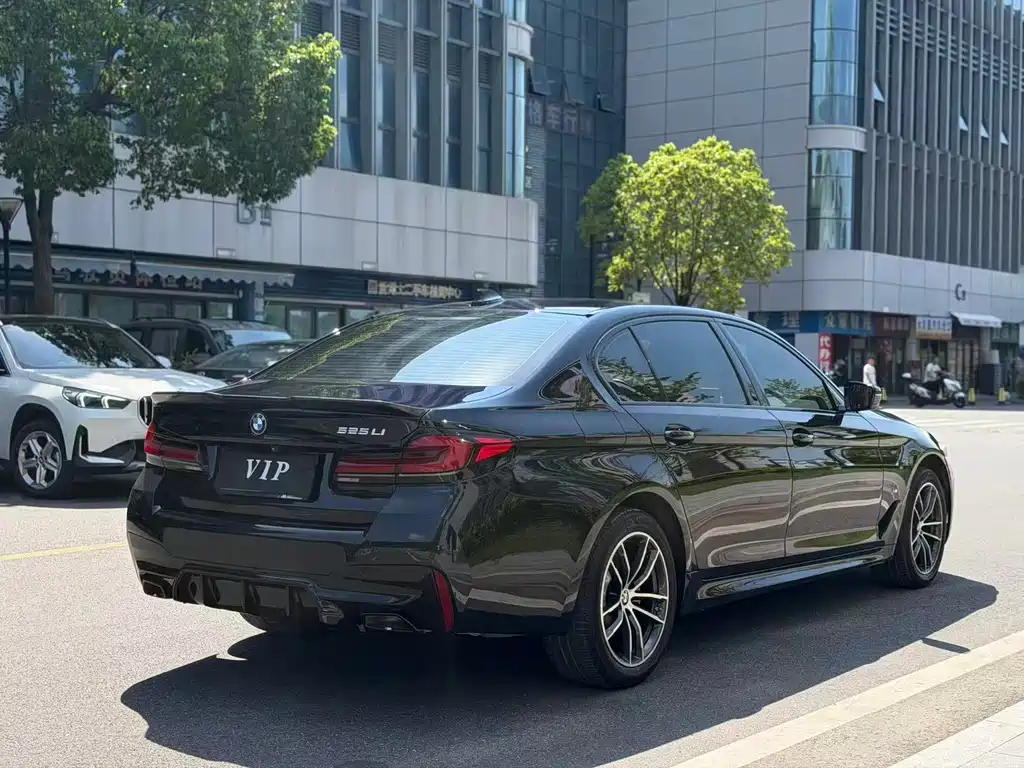 BMW 5 Series — миниатюра 13