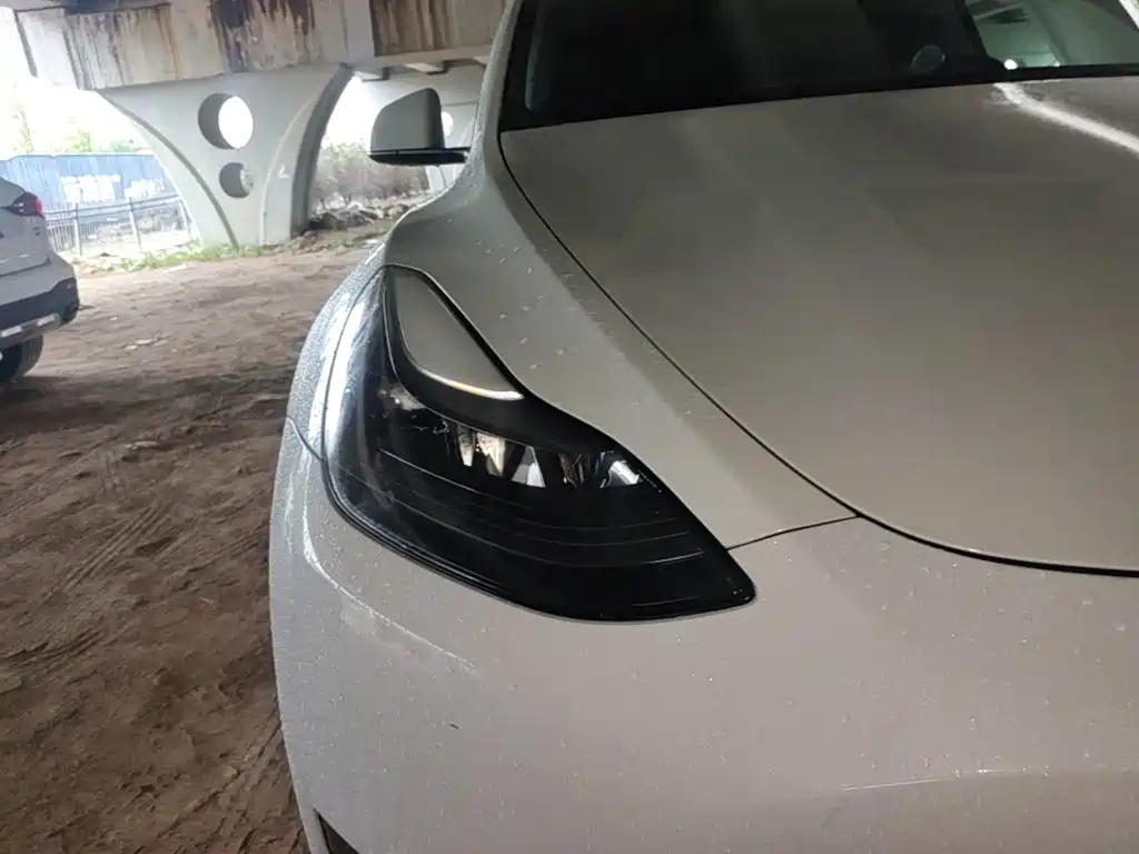 Tesla Model Y — миниатюра 11