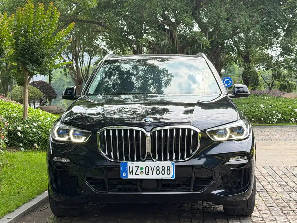 BMW X5 2020 xDrive40i Premium M Sport