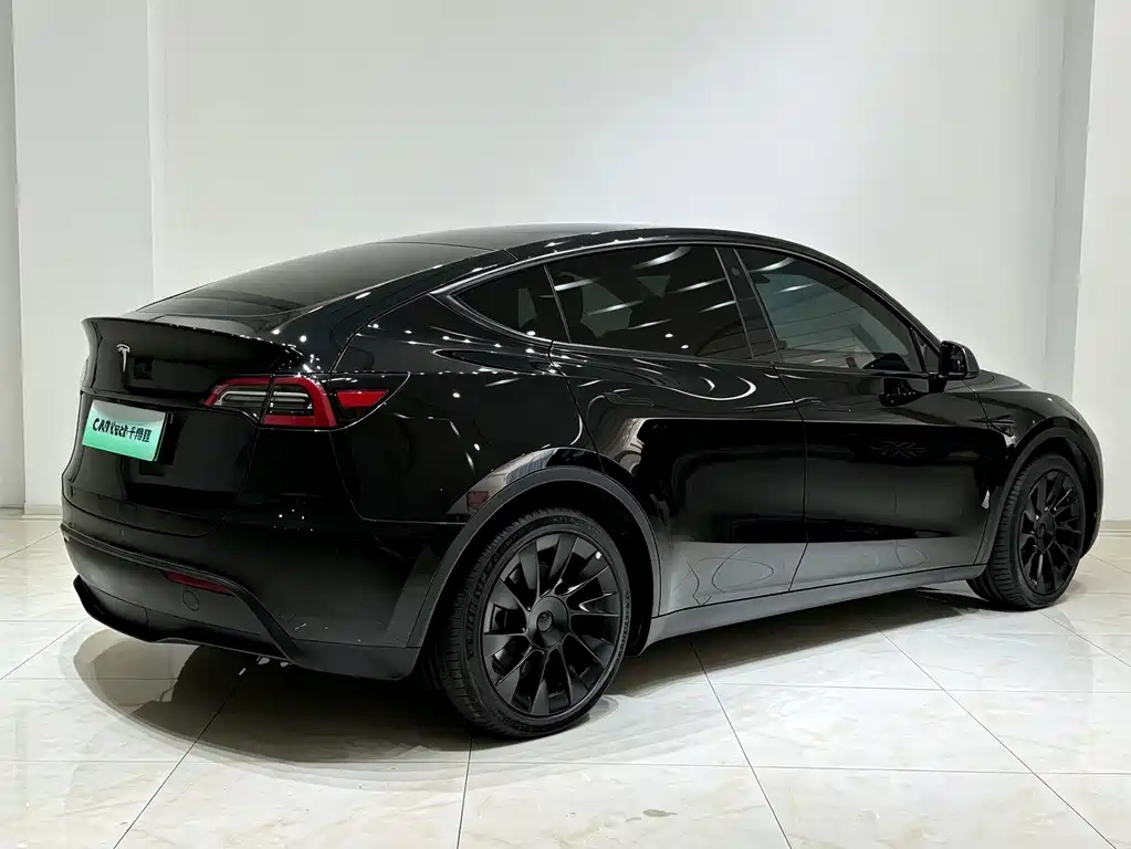 Tesla Model Y — миниатюра 15