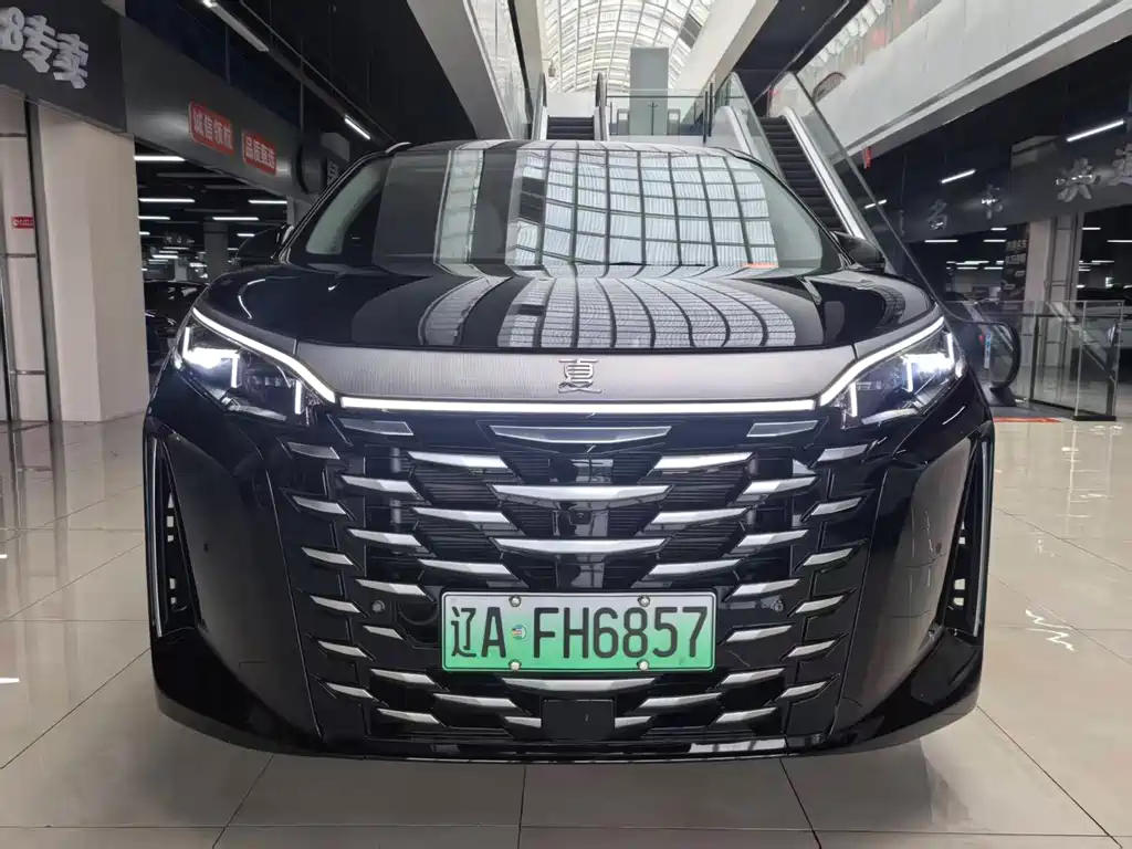 BYD Xia — миниатюра 2