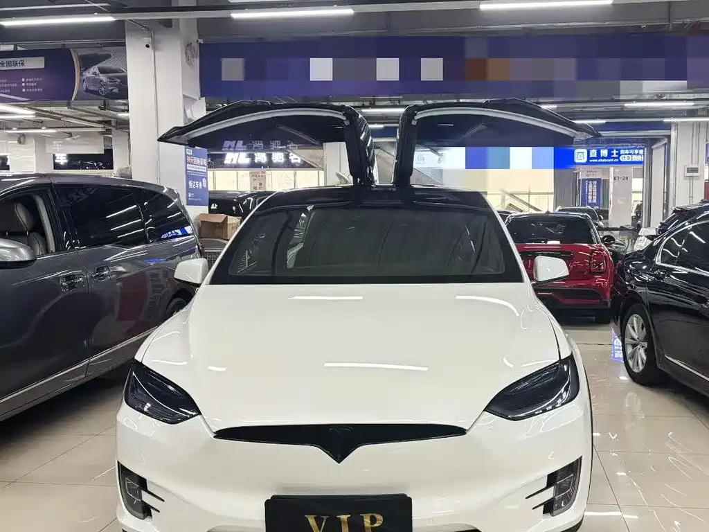 Tesla Model X — миниатюра 2