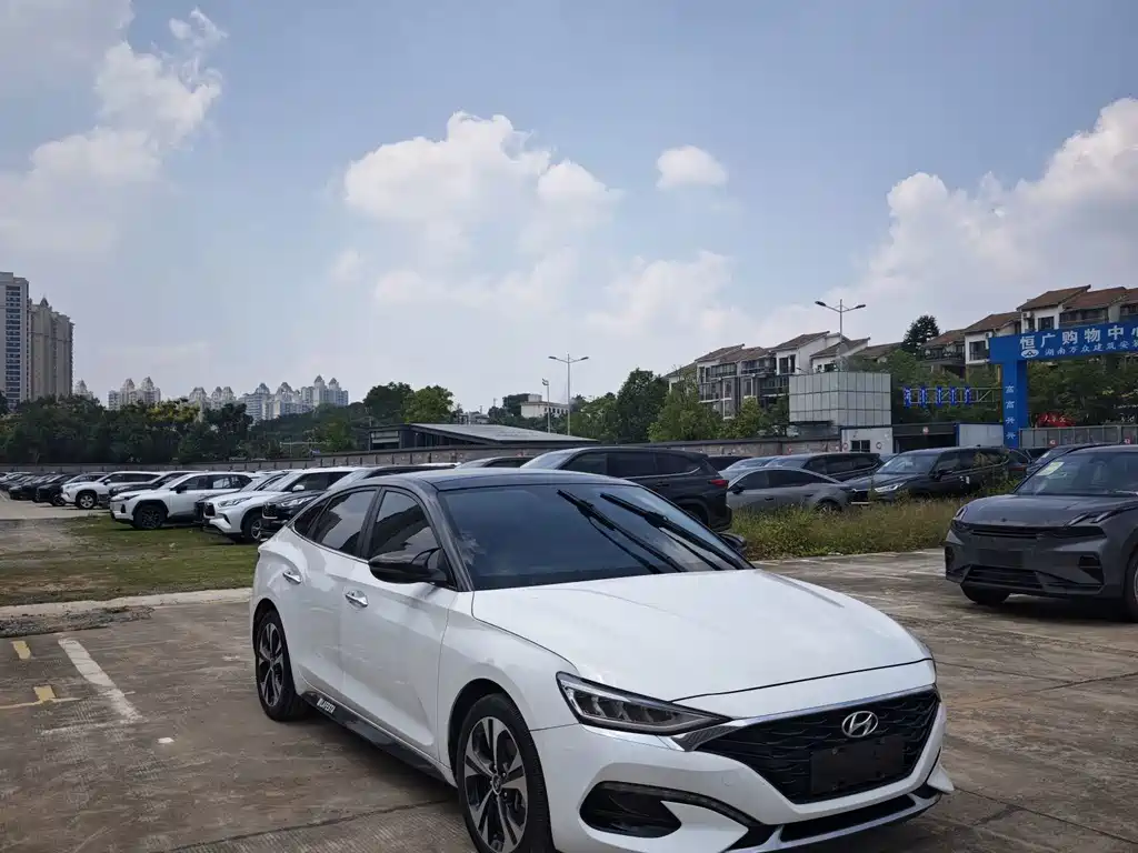 Hyundai Fista — миниатюра 3