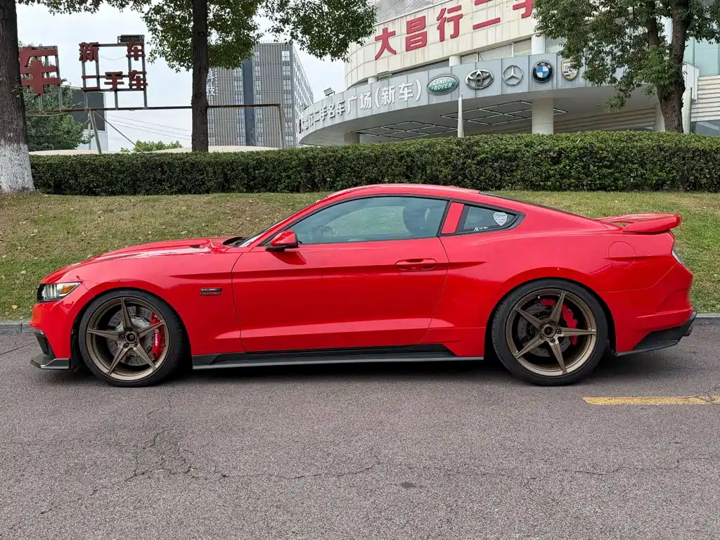 Saleen Mustang 5.0T titanium type, фото 3