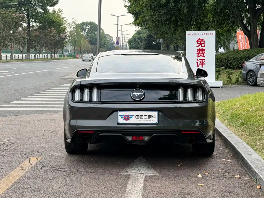 Ford Mustang — миниатюра 5
