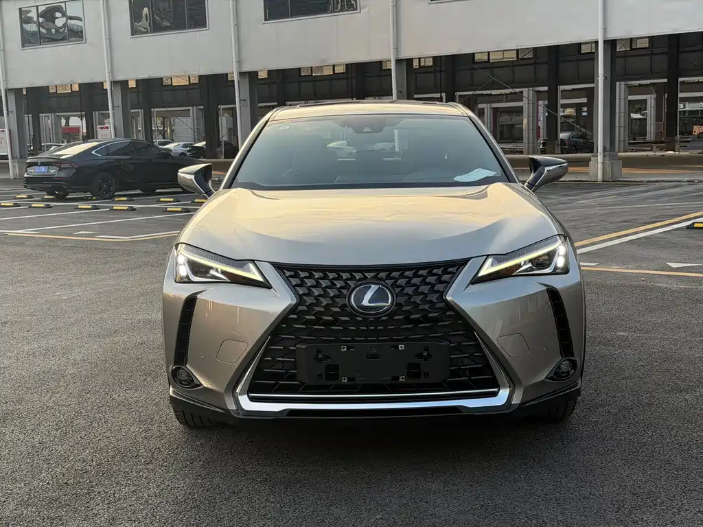 Lexus UX New Energy — миниатюра 2